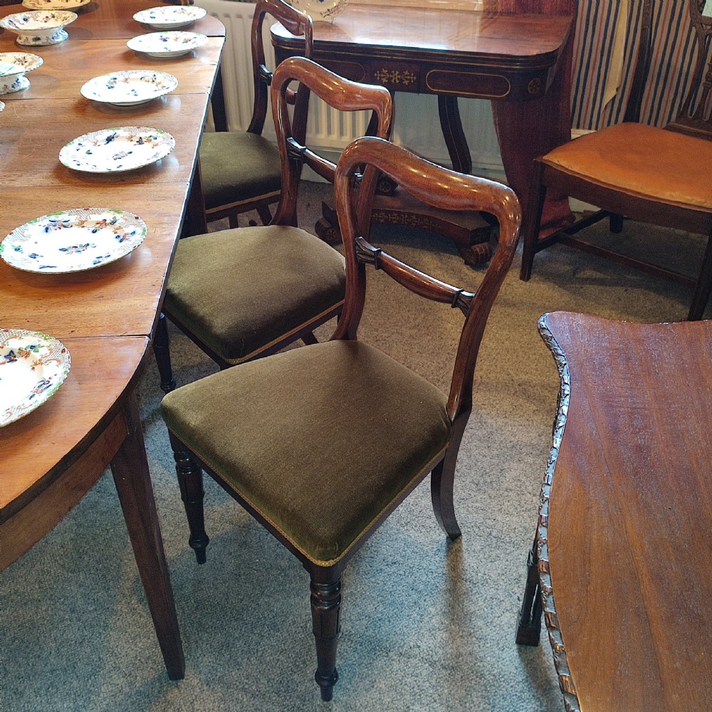 Set of 6 Rosewood 19thC Buckle Back Dining Chairs. View II