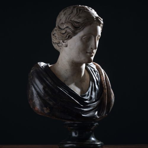A WHITE AND MIXED MARBLE BUST OF A LADY - ADDITIONAL PHOTO 22