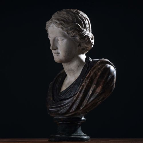 A WHITE AND MIXED MARBLE BUST OF A LADY - ADDITIONAL PHOTO 24