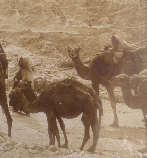 A PHOTOGRAPH FROM NORTHERN AFRICAN WADI VALLEY ALEXANDRE BOUGAULT 18511911 - ADDITIONAL PHOTO 2