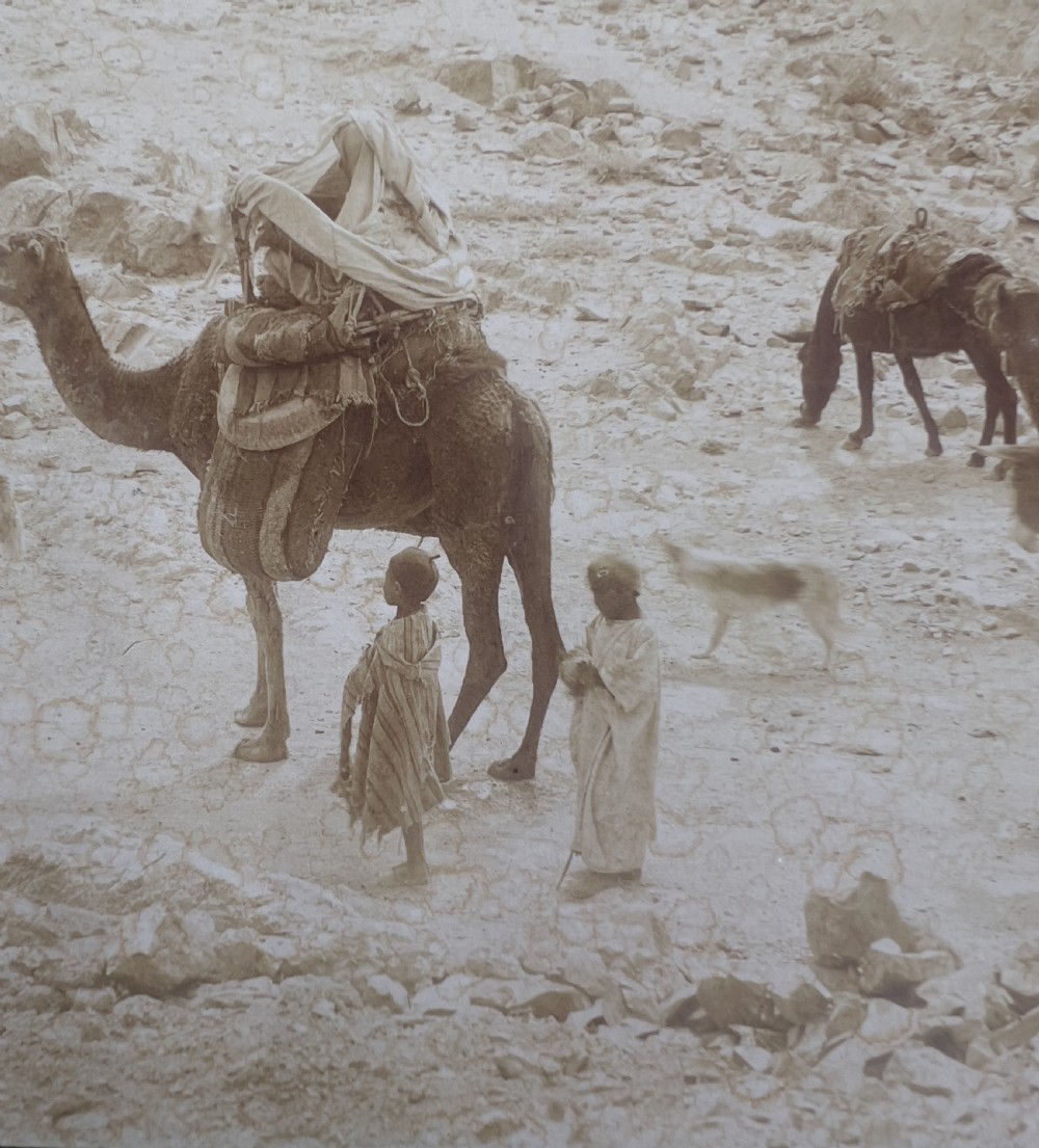 A Photograph From Northern African Wadi (Valley), Alexandre Bougault (1851-1911)  View IV