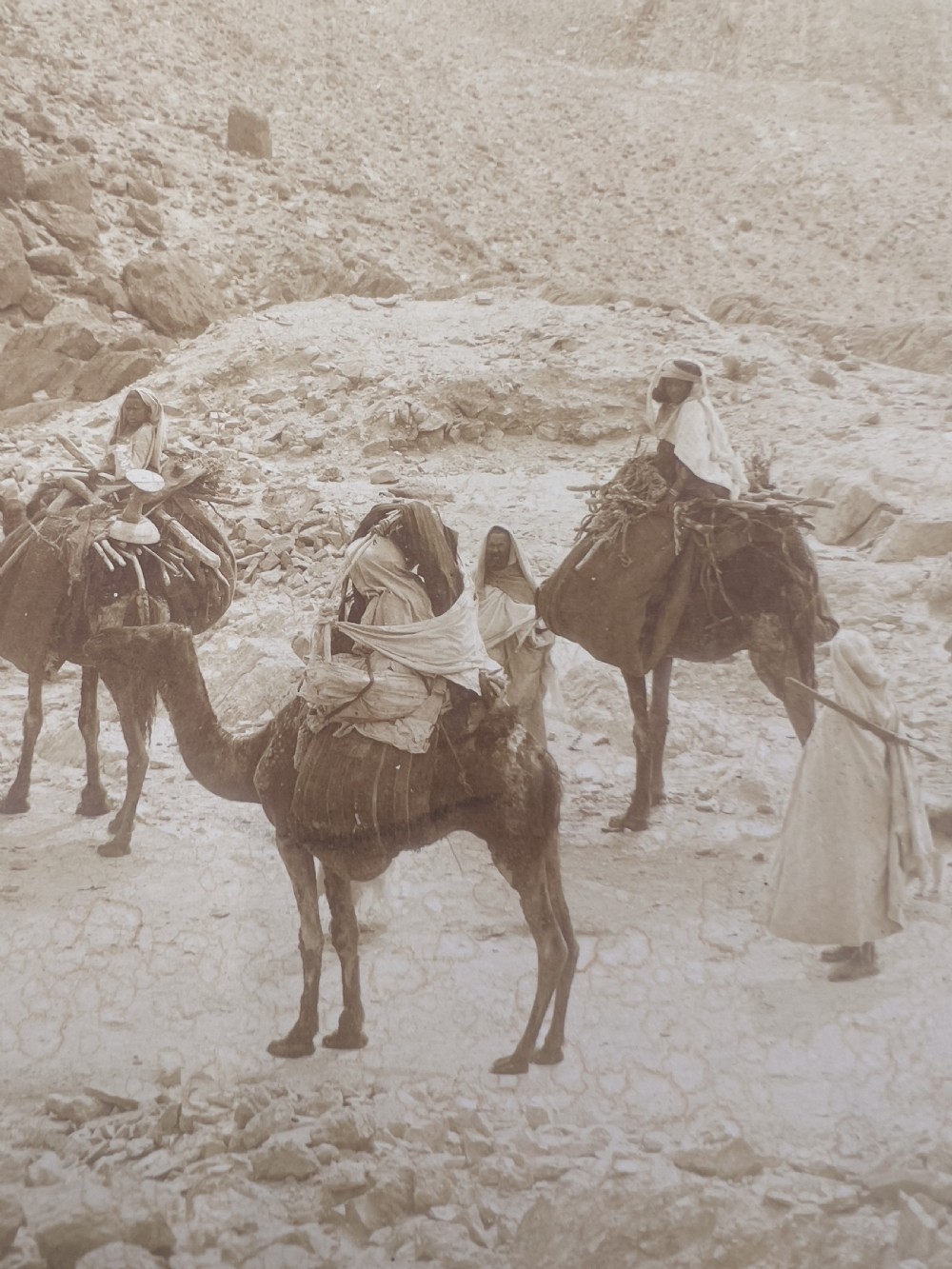 A Photograph From Northern African Wadi (Valley), Alexandre Bougault (1851-1911)  View V