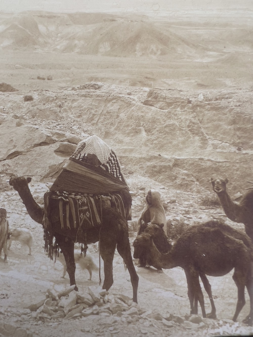 A Photograph From Northern African Wadi (Valley), Alexandre Bougault (1851-1911)  View VIII
