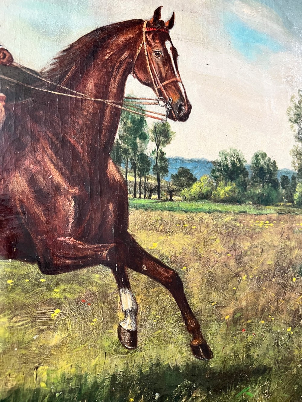 19th Century Oil On Canvas Painting Of A Lady Riding A Horse Side Saddle  View IV