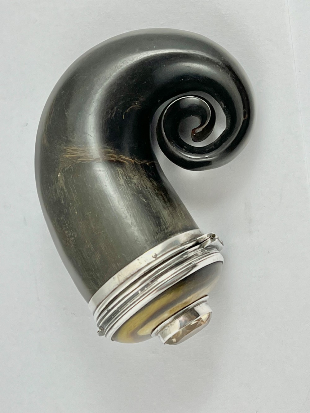 Scottish antique Victorian horn snuff mull, c.1895 View II