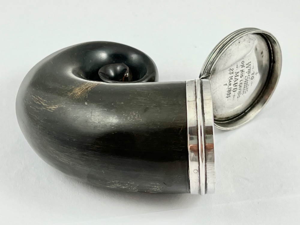 Scottish antique Victorian horn snuff mull, c.1895 View III