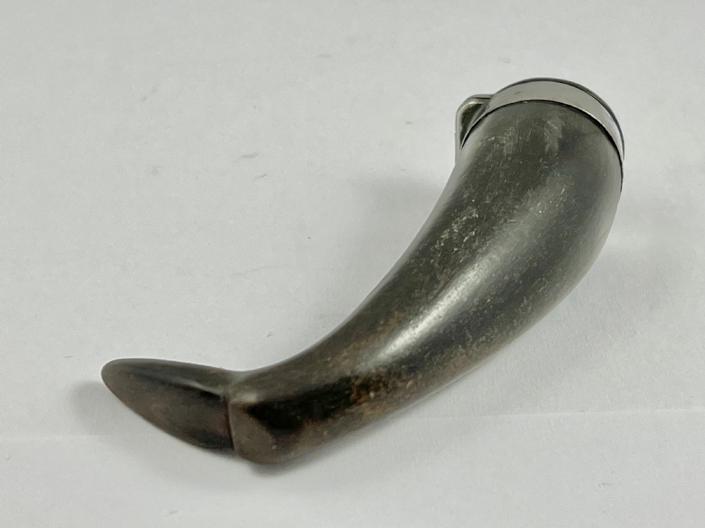 Georgian antique Scottish horn “boot” snuff mull, c. 1800 View V