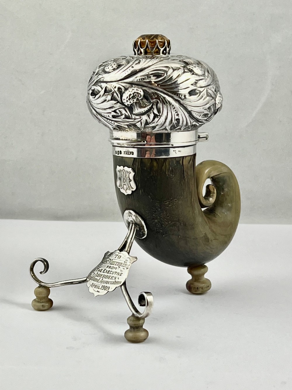 Edwardian large horn snuff mull, Wm Duningham (Aberdeen) 1907 View X