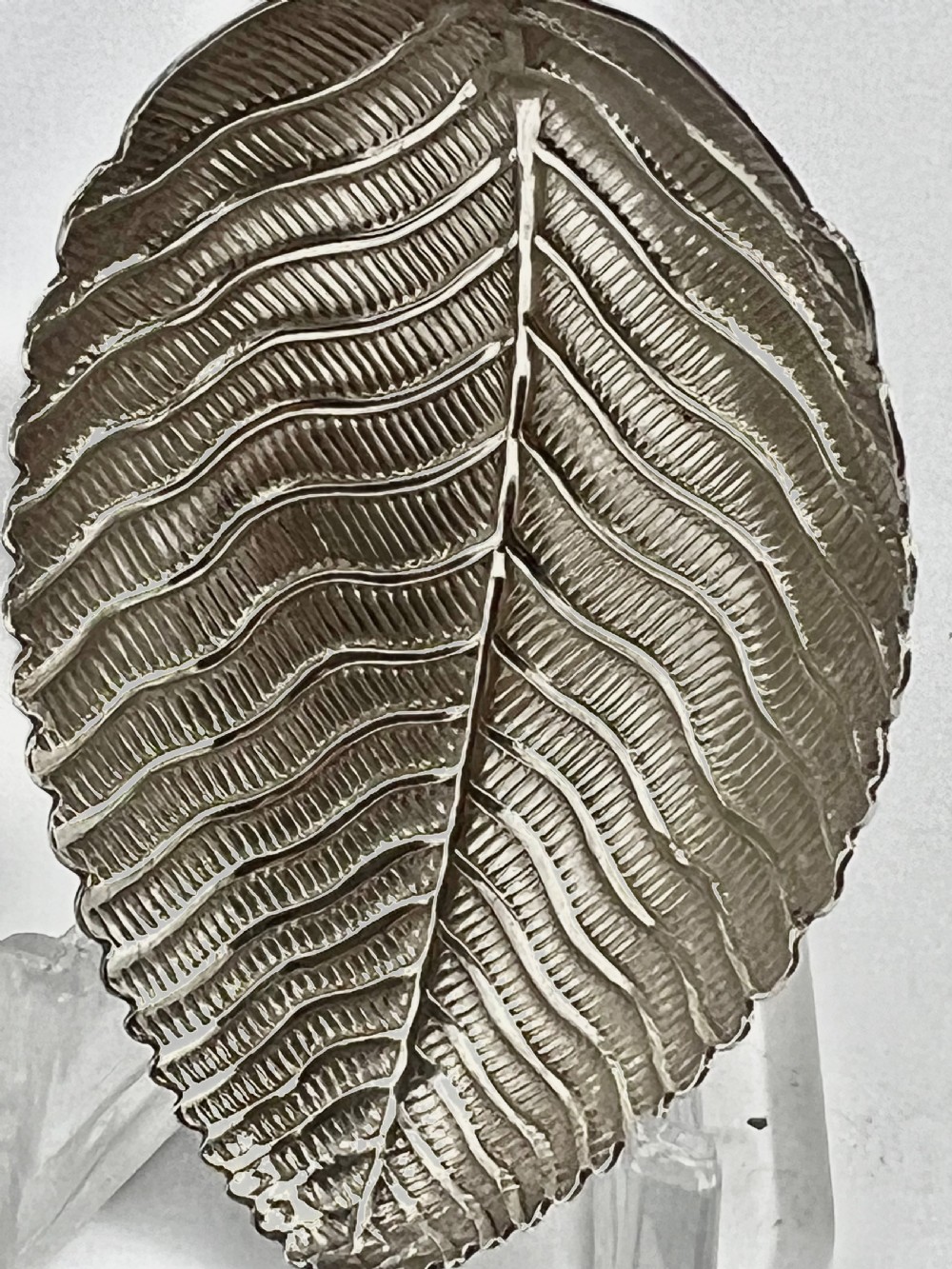 George III silver “leaf” caddy spoon, Elizabeth Morley 1802 View V