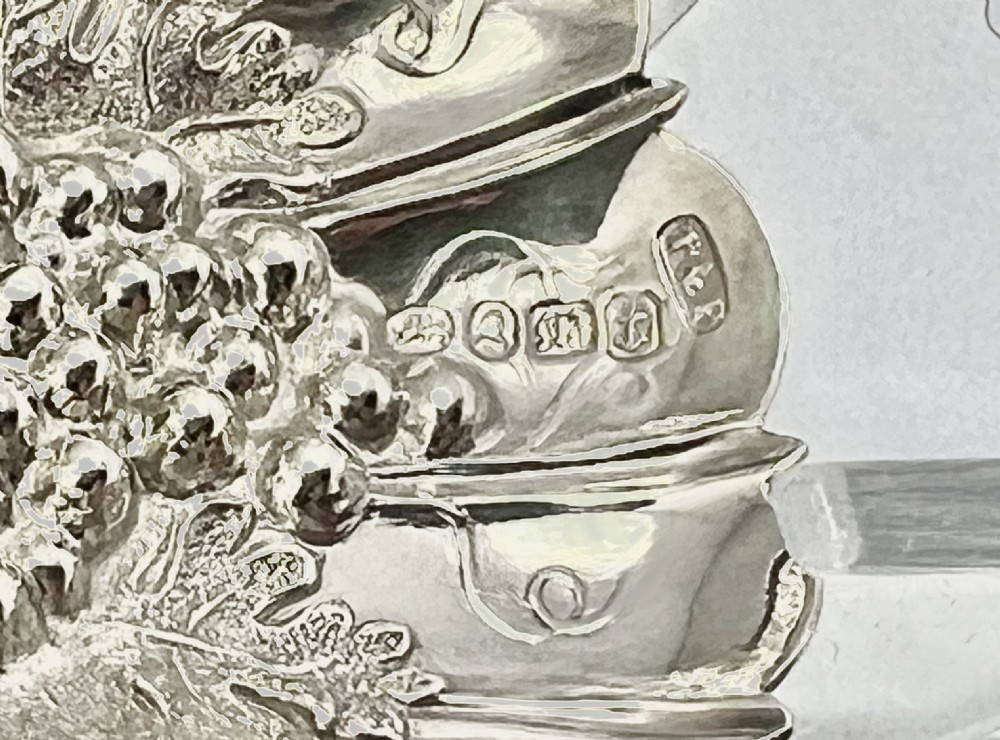 William IV antique silver, grape and vine caddy spoon, 1835 View VI