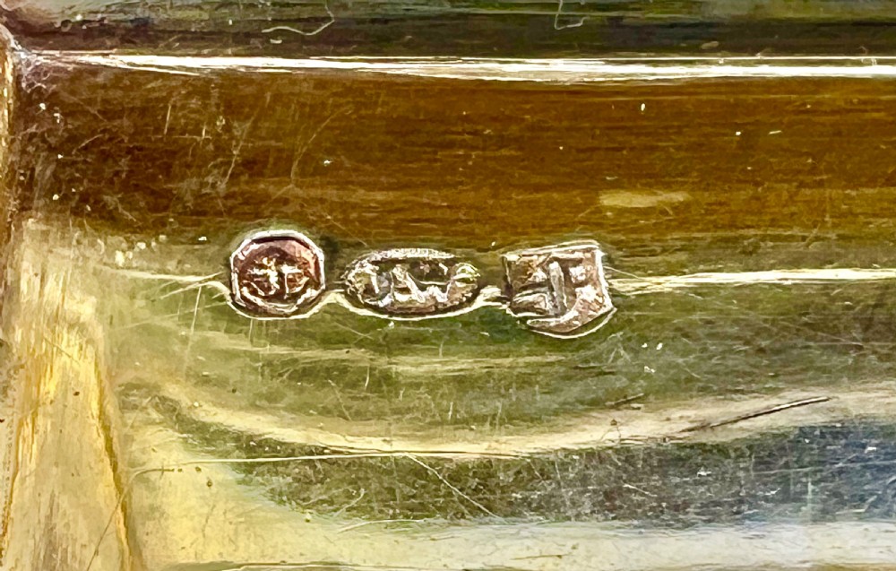 A rectangular George IV sterling silver pocket snuff box featuring engine-turned engraving, an engraved central cartouche, and an ornate relief floral border. View VIII