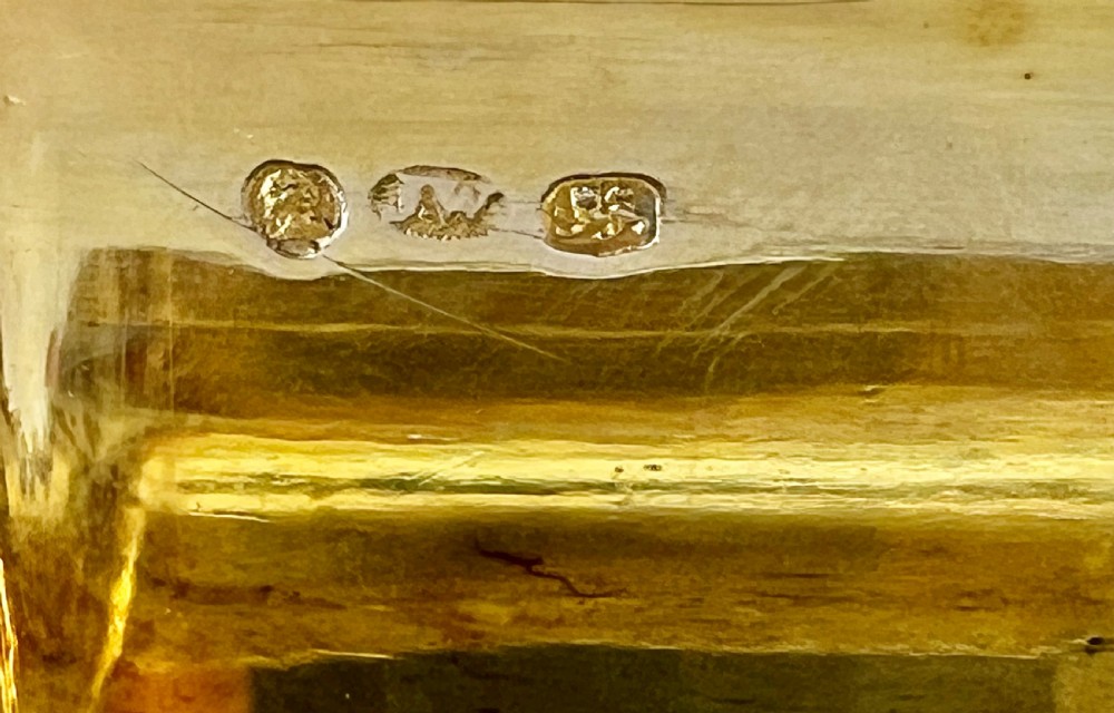 A rectangular George IV sterling silver pocket snuff box featuring engine-turned engraving, an engraved central cartouche, and an ornate relief floral border. View IX