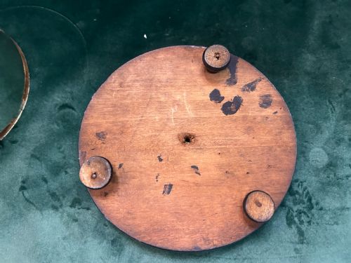 EDWARDIAN TAXIDERMY DOME - ADDITIONAL PHOTO 2