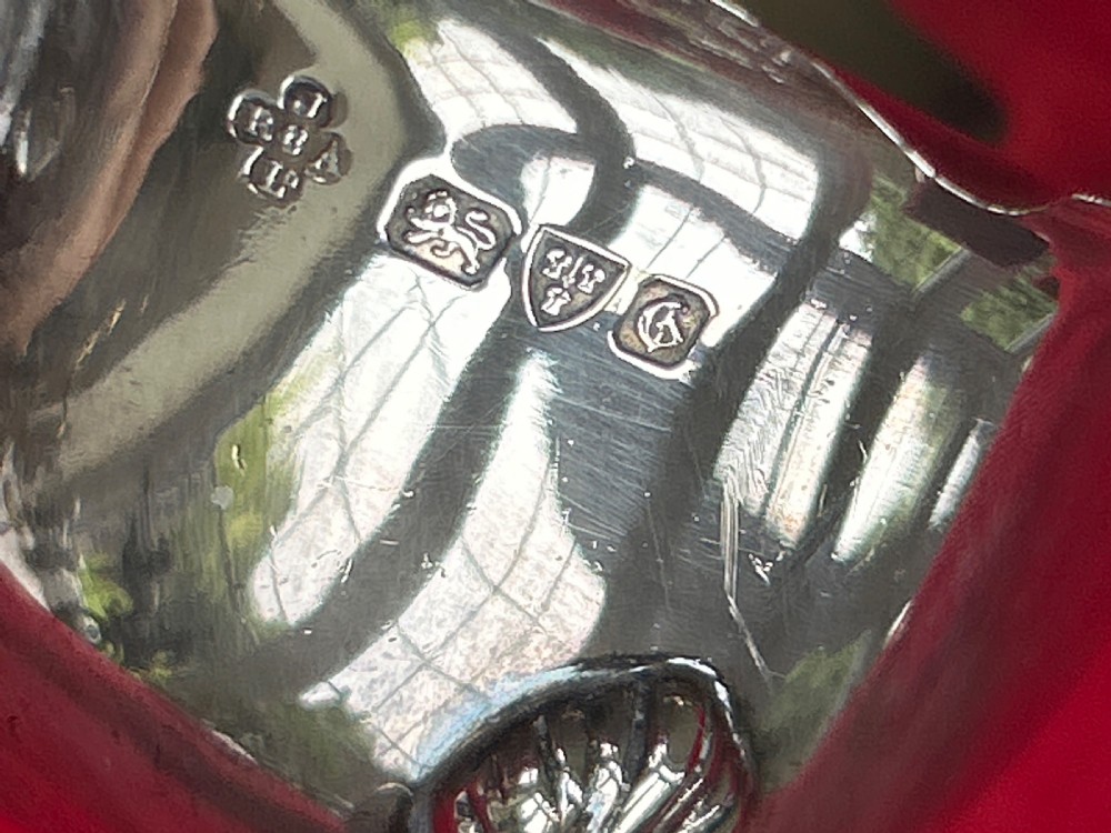 Silver sauce boat View IV