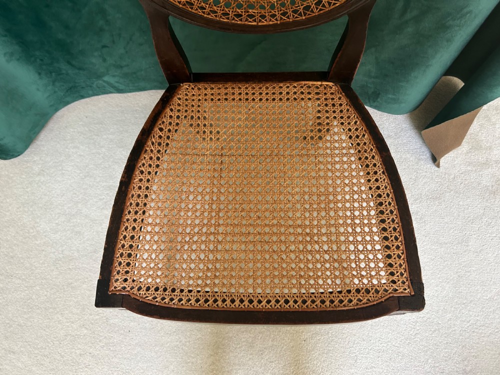 Edwardian cane mahogany chair View IV