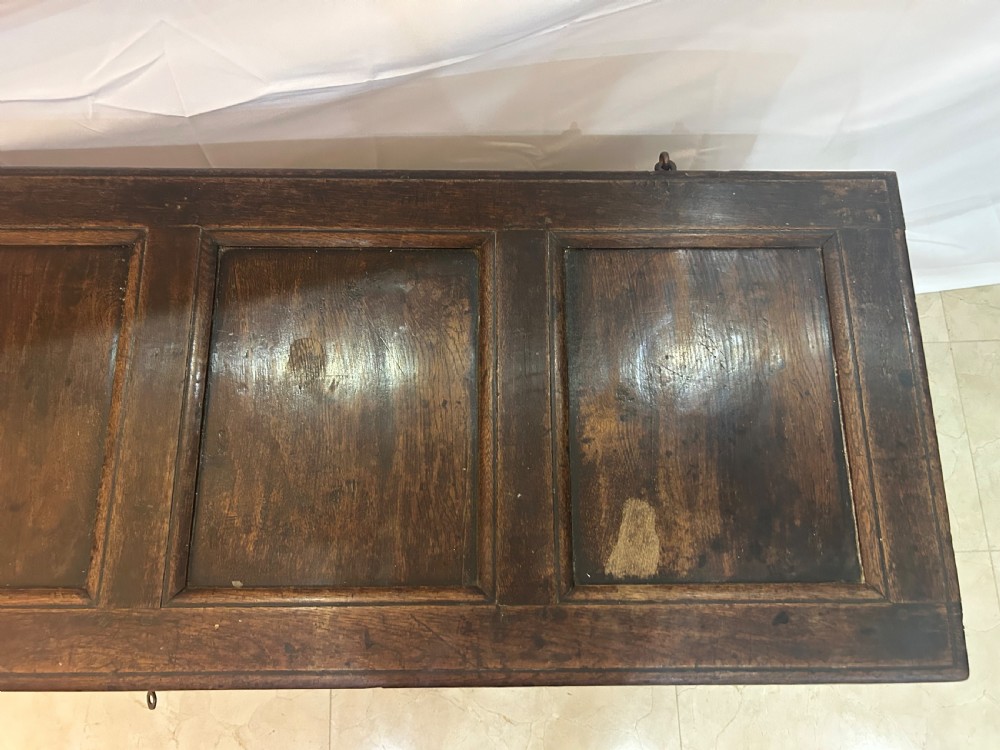 An 18th-century dark oak mule chest featuring a four-panel front, two base drawers with brass handles, and a hinged lid. View IX