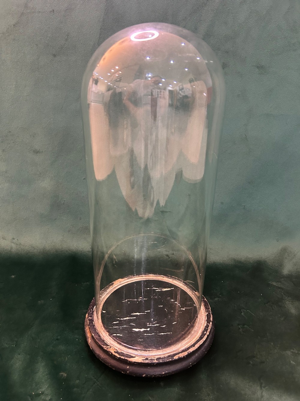 A tall clear glass display dome featuring a rounded top set upon a circular ebonised wooden base.