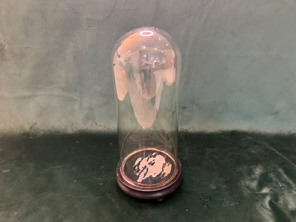 A tall, clear glass display dome resting on a turned circular dark ebonised wooden base.