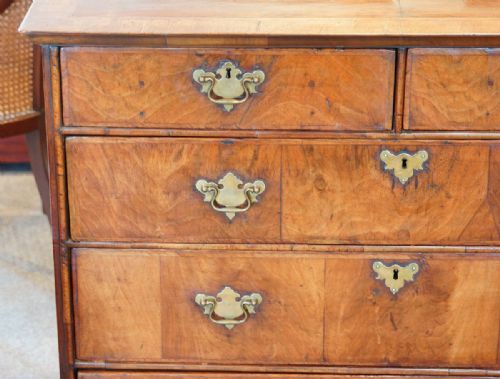 fig 1. Queen Anne Walnut chest of drawers