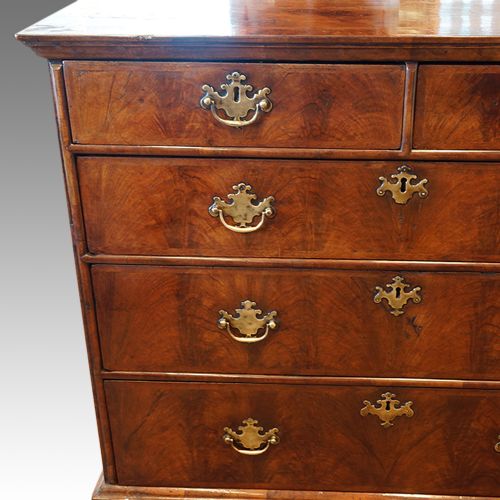 fig 1. Queen Anne walnut chest