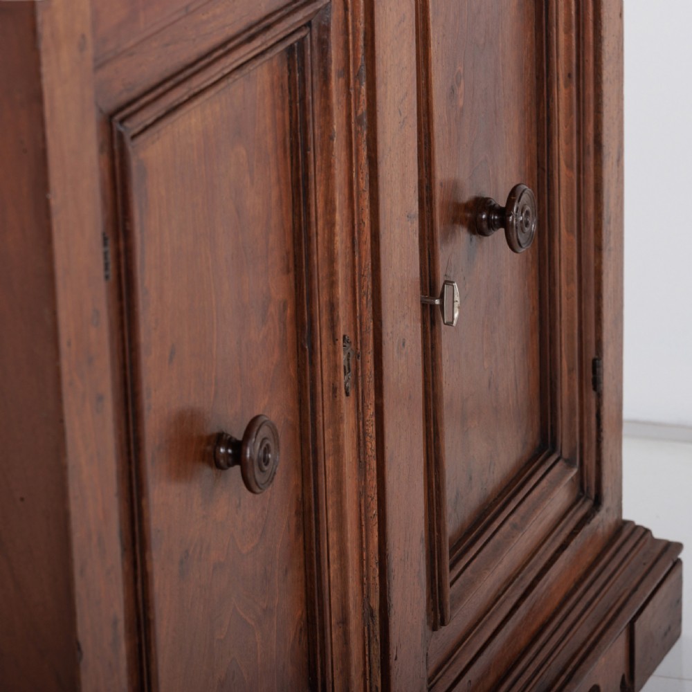 A 19th-century Tuscan walnut cupboard featuring two double-moulded panel doors with turned knobs and a shaped plinth base. View III