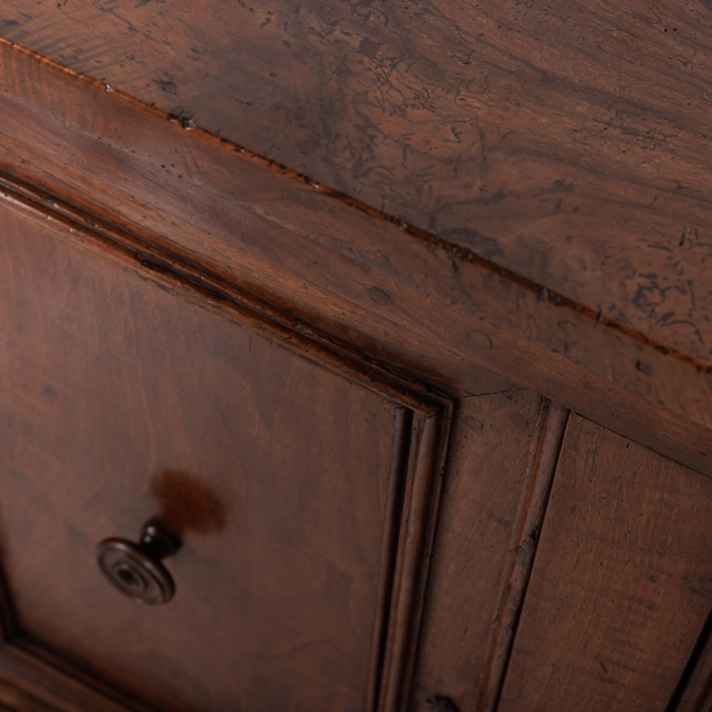A 19th-century Tuscan walnut cupboard featuring two double-moulded panel doors with turned knobs and a shaped plinth base. View XIV