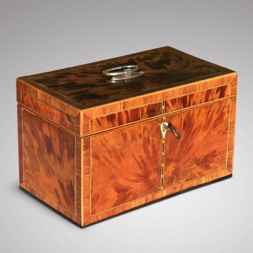George III Tortoiseshell Tea Caddy