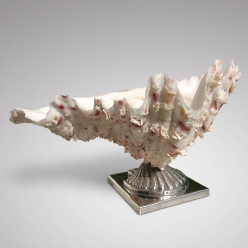 19th Century Scottish Silver Shell Table Decoration
