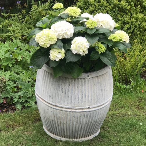 Victorian Galvanised Metal Dolly Tub