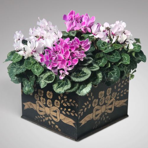 Painted Toleware Planter with Castellated Top