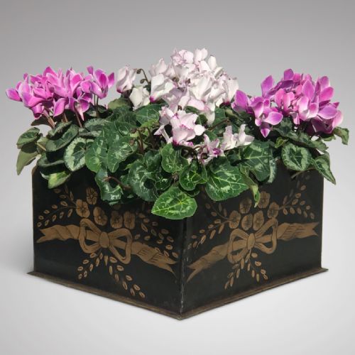 Painted Toleware Planter with Castellated Top