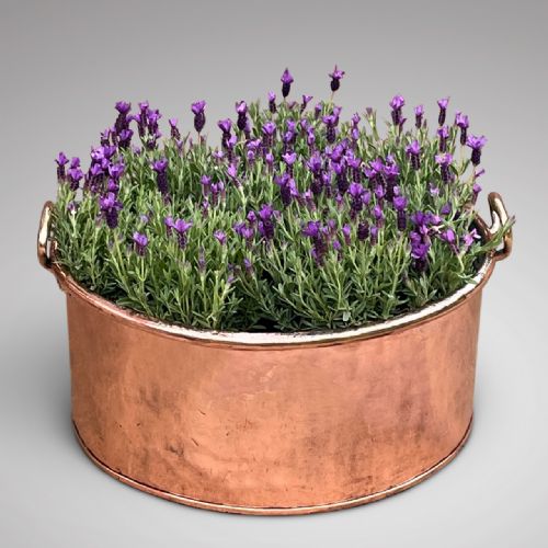Enormous 19th Century Copper Pot with Brass Handles
