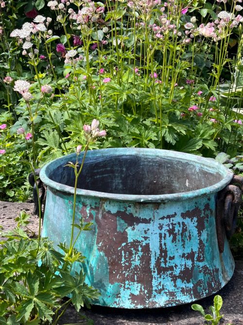 Large 19th Century Verdigris Copper Copper