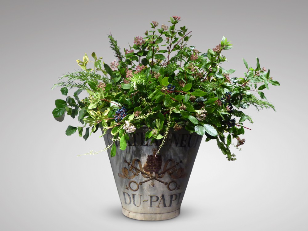 19th Century French Grape Hod