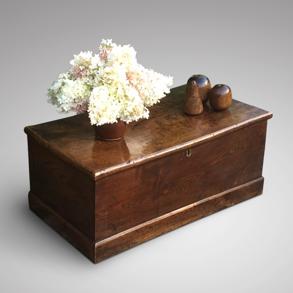 19th Century Elm Trunk