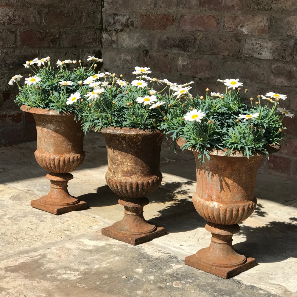 Trio of 19th Century Cast Iron Garden Urns