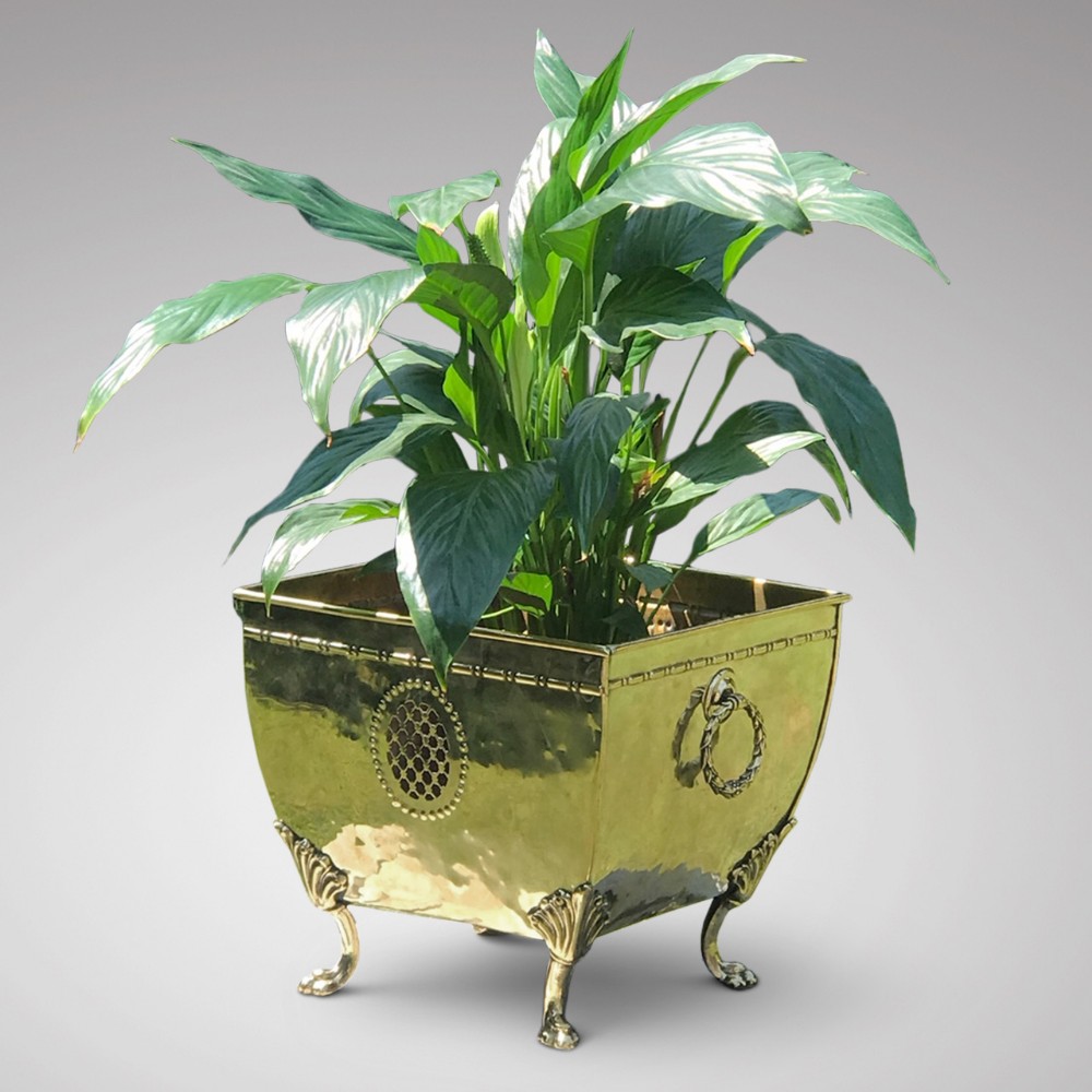 19th Century Brass Jardiniere with Hoop Handles