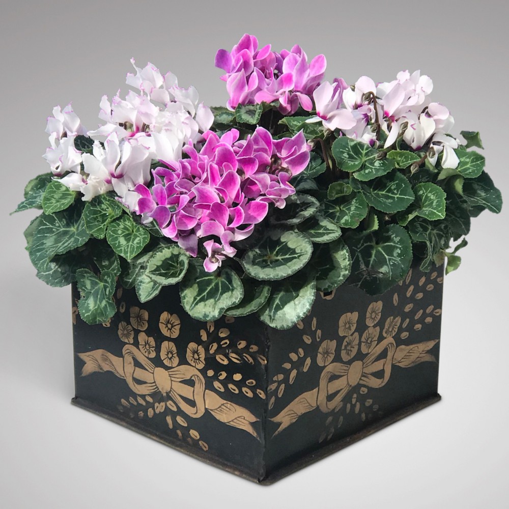 Painted Toleware Planter with Castellated Top