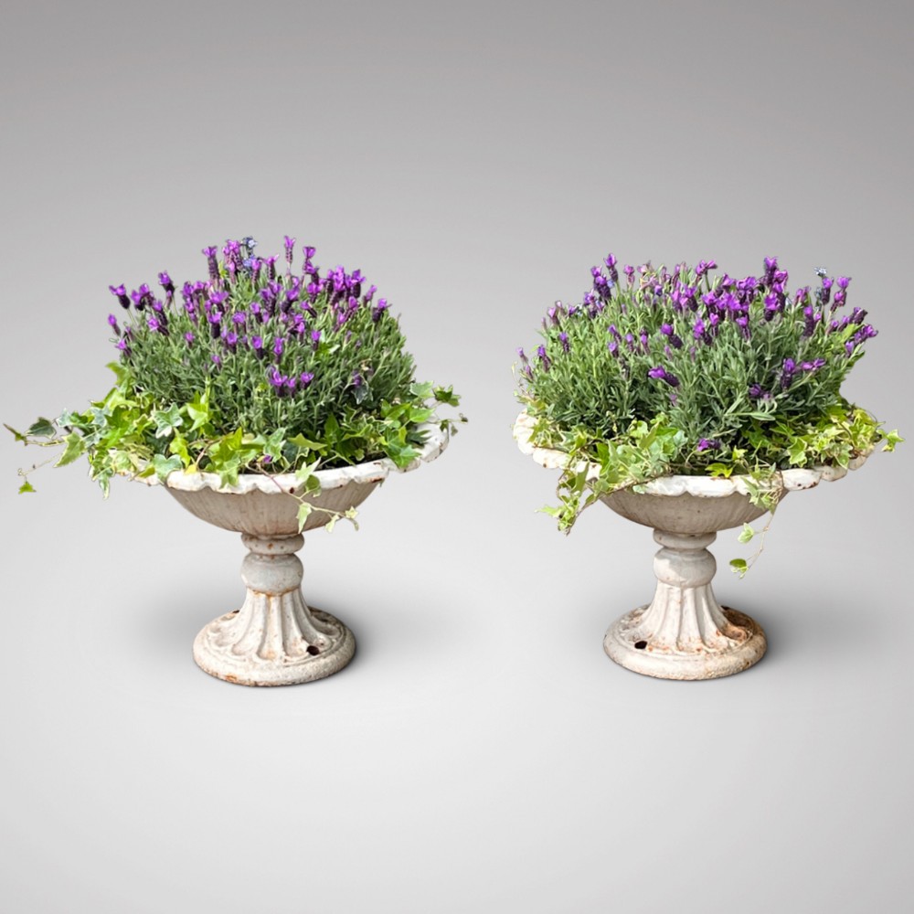 Pair of Victorian Cast Iron Tazza Garden Urns