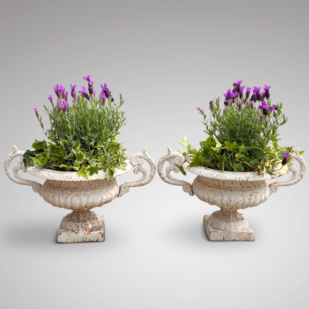 Pair of 19th Century Cast Iron Twin Handled Urns