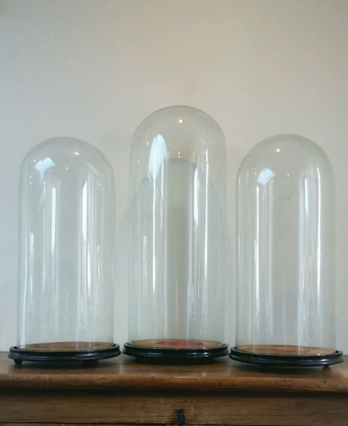 Set of 3 C19th Antique Large French Glass Domes