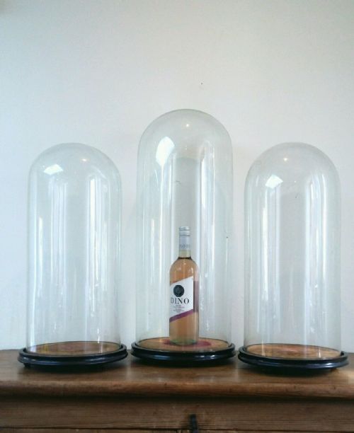 fig 1. Set of 3 c19th Antique Large French Glass Domes