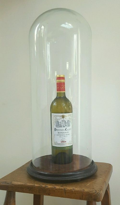 Victorian C1880 French Glass Display Dome