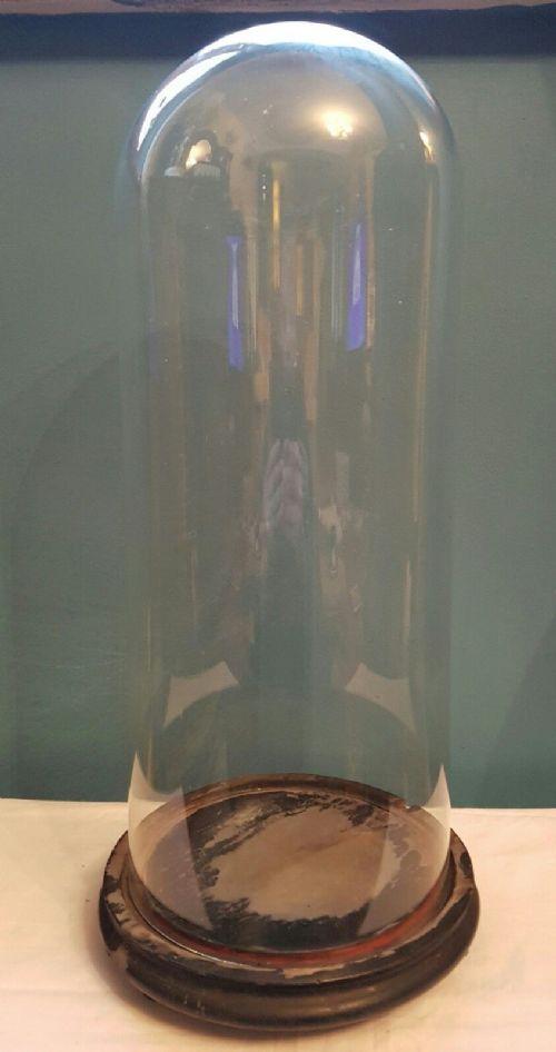 Large French Victorian C1860 Glass Dome Taxidermy.