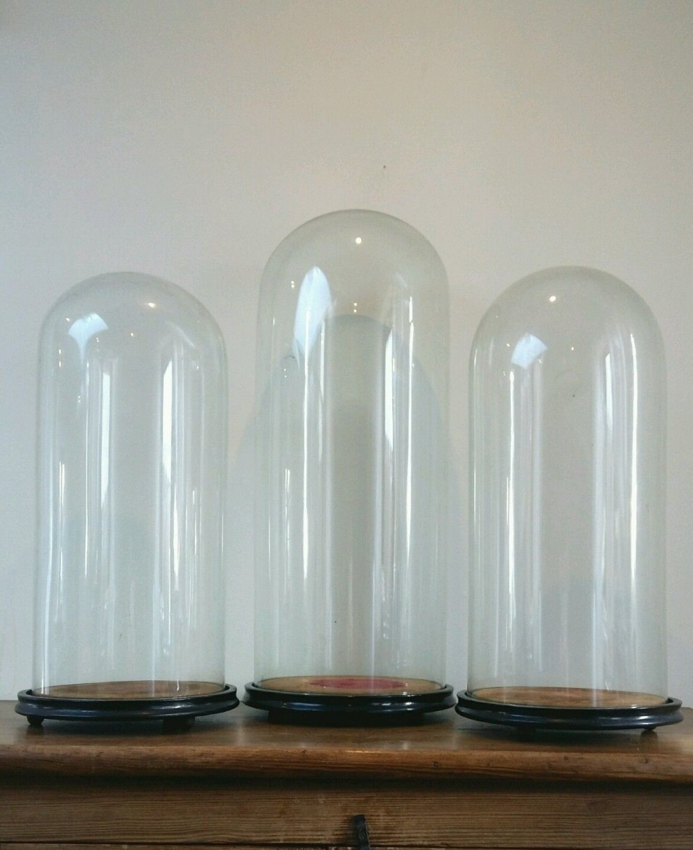 Set of 3 c19th Antique Large French Glass Domes 