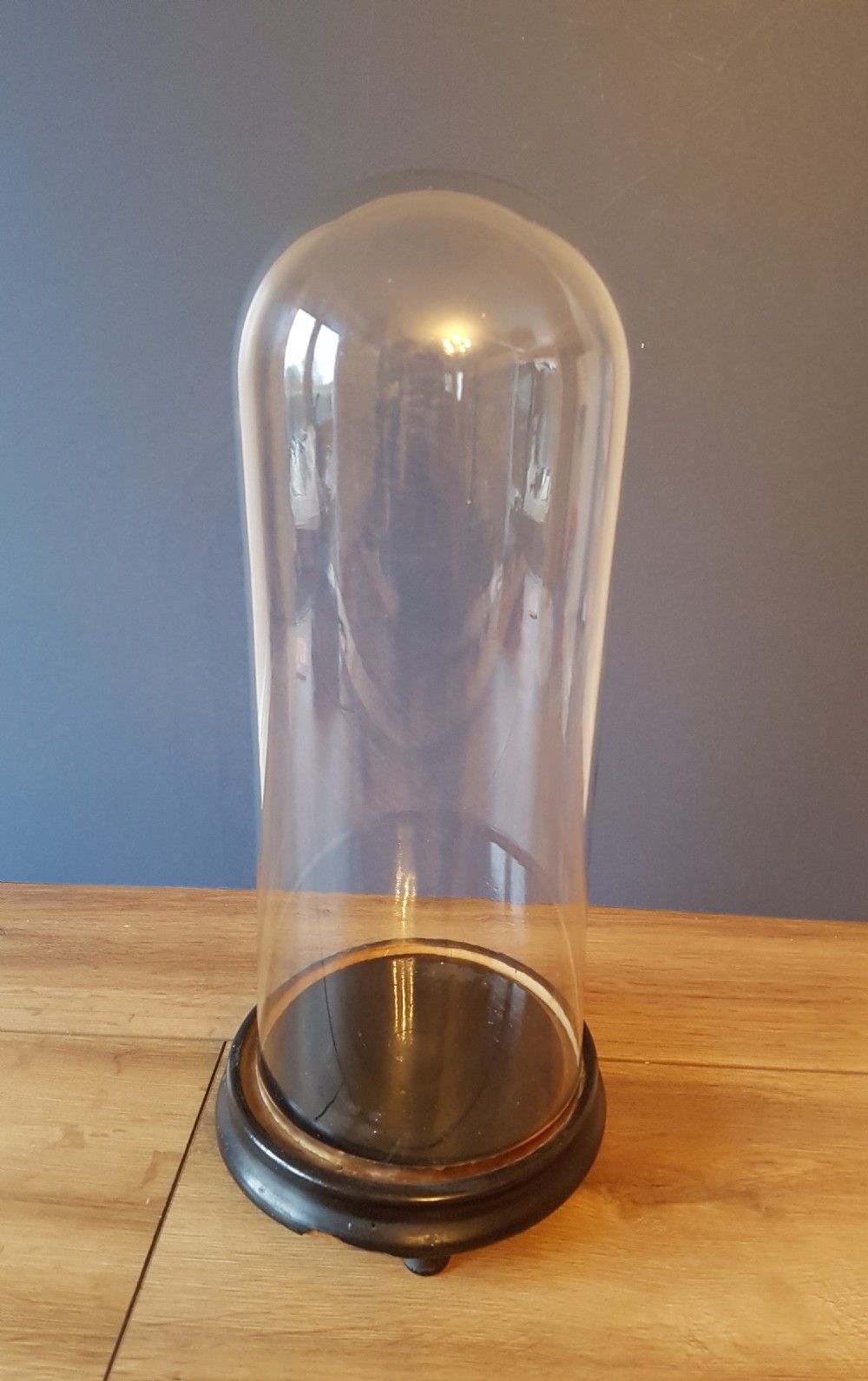C1860 FRENCH GLASS DOME View III