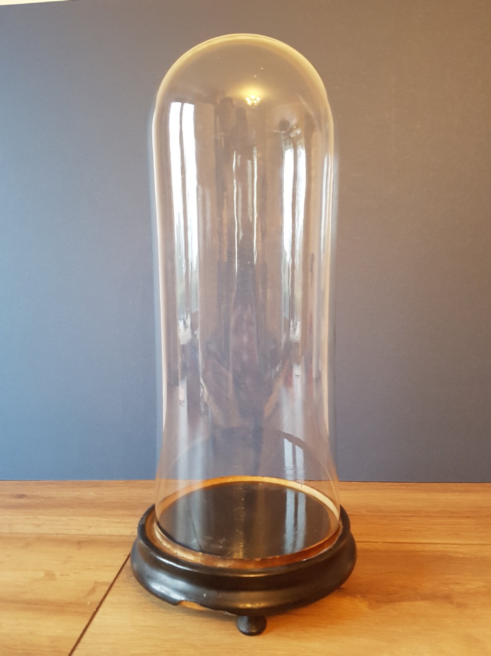 C1860 FRENCH GLASS DOME View IV