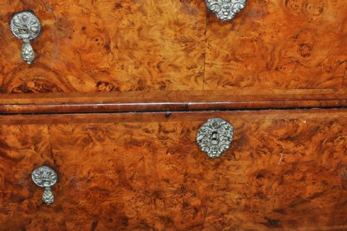 BURR ELM CHEST OF DRAWERS - ADDITIONAL PHOTO 4