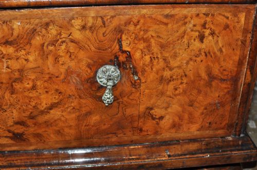 BURR ELM CHEST OF DRAWERS - ADDITIONAL PHOTO 6