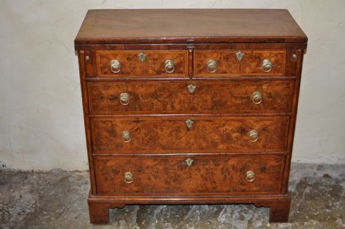 WALNUT BACHELORS CHEST - ADDITIONAL PHOTO 1